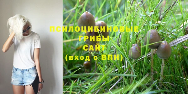 крисы Алексин