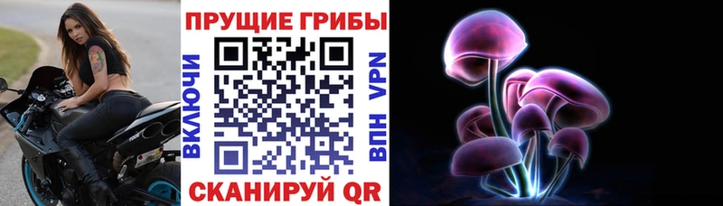 наркошоп  Соликамск  это как зайти  Псилоцибиновые грибы мухоморы 